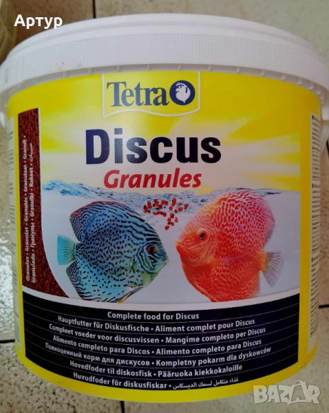 Тетра Дискус  Tetra Discus, снимка 1