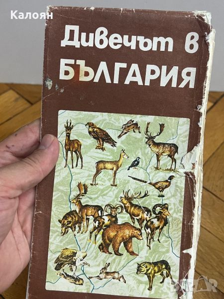 Карта дивечът в България от 1980 г. , снимка 1