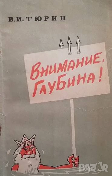 Внимание, глубина! В. И. Тюрин, снимка 1
