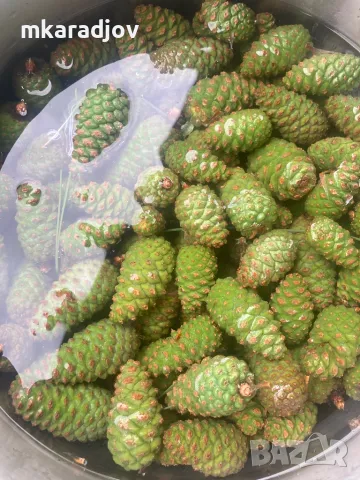 Чай, Билки, Подправки, плодове еко био, снимка 16 - Домашни продукти - 46647684