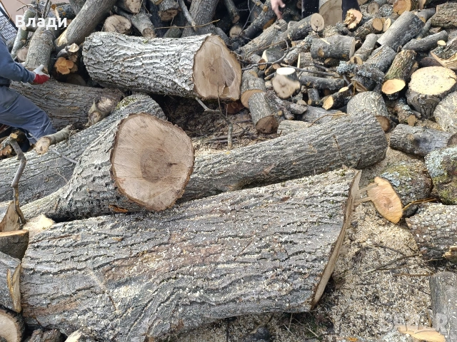 Орех-орехови трупи, снимка 4 - Дърводелски услуги - 53704493