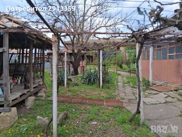 Селски имот в село Баячево-Собственик, снимка 8 - Къщи - 54242247