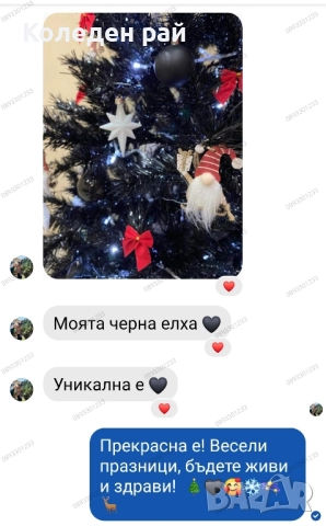 Черна елха Енигма с тънък клон , снимка 6 - Декорация за дома - 52353376