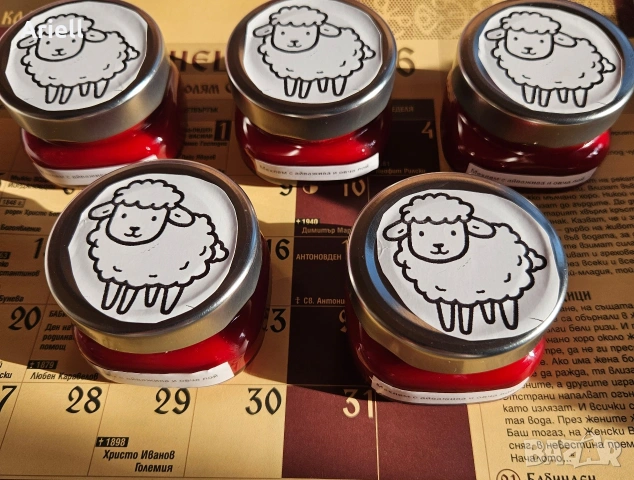 Мехлем с айважива и овча лой, снимка 14 - Други - 40518939