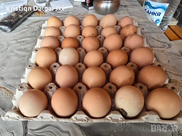Продавам домашни яйца, снимка 2 - Домашни продукти - 53889355