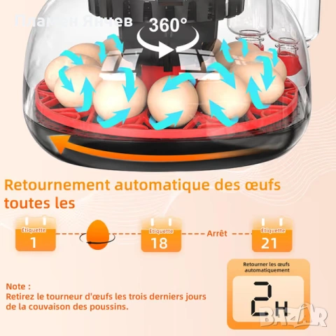 Автоматичен инкубатор за яйца за 12 яйца , снимка 3 - За птици - 53890024