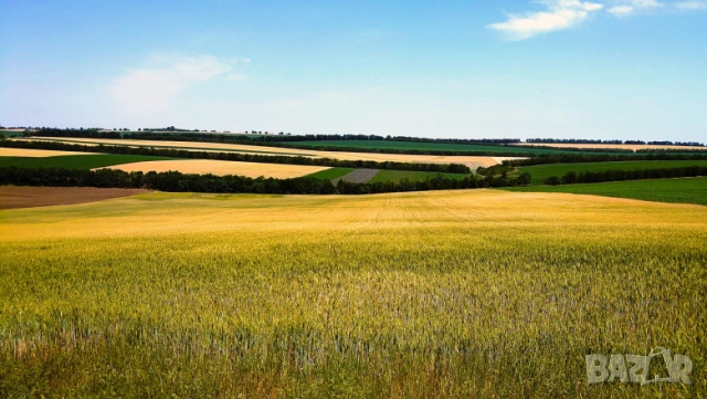 Купувам земеделски земи в Силистра, снимка 1