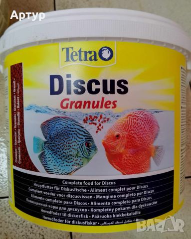 Тетра Дискус  Tetra Discus, снимка 1 - Рибки - 46636228