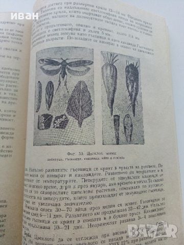 Ентомология - В.Попов,М.Дириманов,Ст.Григоров - 1952г., снимка 4 - Специализирана литература - 46263872