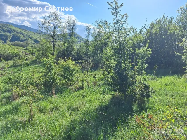 парцел в Еленският балкан , снимка 10 - Парцели - 50342176