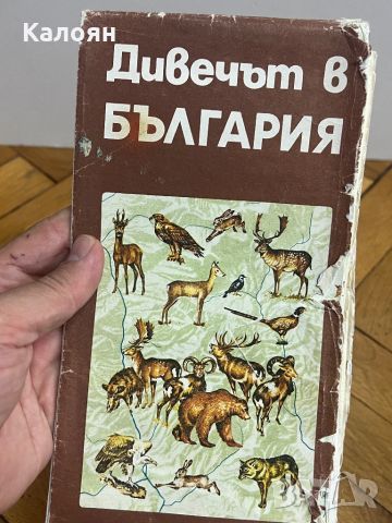 Карта дивечът в България от 1980 г. , снимка 1 - Специализирана литература - 46591625