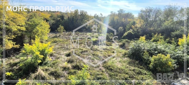 Eдноетажна къща с голям двор в с. Ст. Стамболово, обл. В. Търново., снимка 12 - Къщи - 53040100