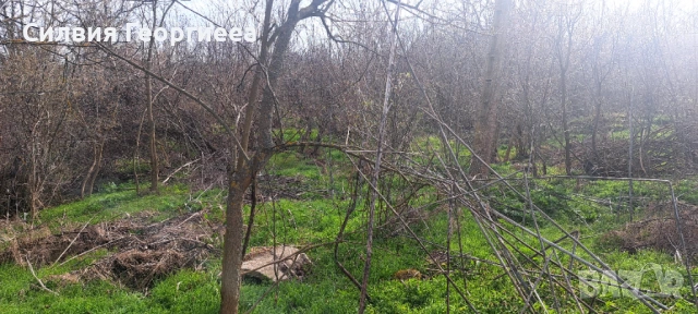 Парцел, снимка 2 - Парцели - 53956165