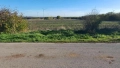 Нива 1 дка с. Горун на 200м от международен път Варна - Дуранкулак., снимка 4