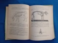 Физиология на селскостопанските животни с основи на анатомията , снимка 2