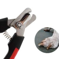 Ножици за нокти на домашен любимец + пила , снимка 1 - За кучета - 45132719