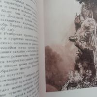 Великолепен албум на Рембранд/ДОмие/ Гоя, снимка 8 - Специализирана литература - 45297659