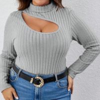 Макси модерна силно еластична блуза със секси деколте и поло яка в светло сиво, снимка 1 - Блузи с дълъг ръкав и пуловери - 45529483