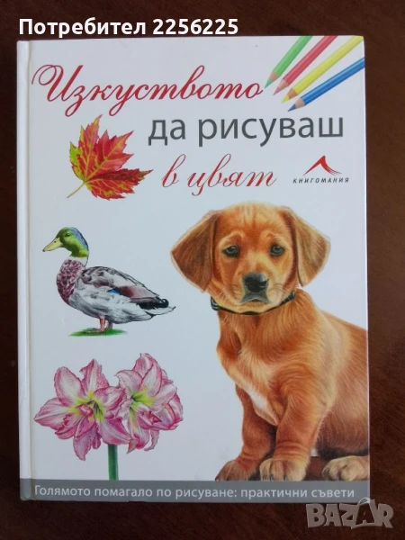 Изкуството да рисуваш в цвят, снимка 1
