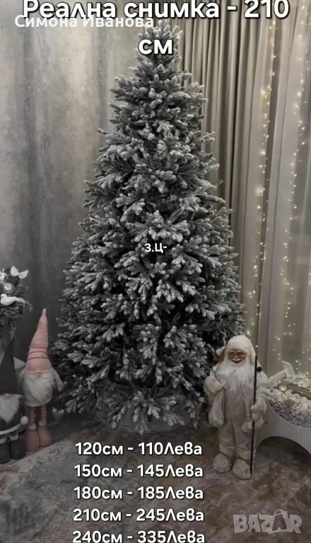 ЗАСНЕЖЕНА ЕЛХА , снимка 1