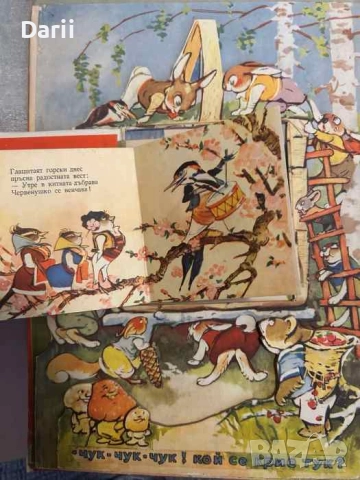 Чук-чук-чук, кой се крие тук!... К. Добридолска, снимка 4 - Детски книжки - 51496886