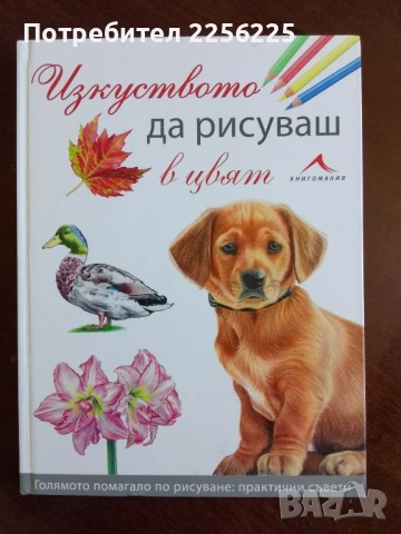 Изкуството да рисуваш в цвят