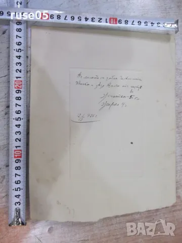 Снимка стара на две деца - Жанетка и Жорко, снимка 3 - Колекции - 47822844