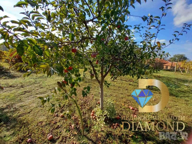 Двуетажна къща в село Хлябово, общ. Тополовград, снимка 6 - Къщи - 52153825