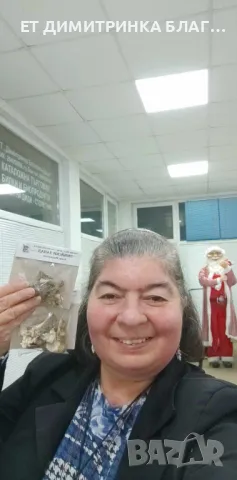 Змийски лапад , снимка 7 - Други - 50146714