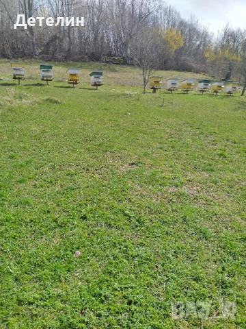 пчелни кошери Дадан-Блат 12 рамкови 