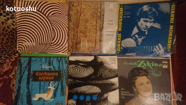 Грамофонни плочи, различни, снимка 7 - Грамофонни плочи - 53910883