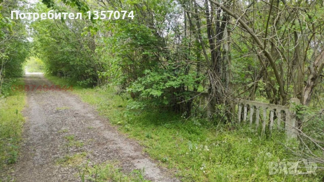 Продавам два парцела с постройки от стопански двор, снимка 5 - Парцели - 53834877