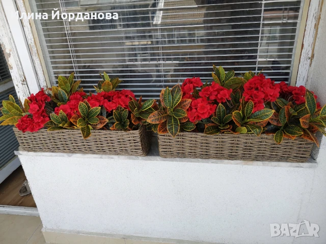 Изкуствено червено мушкато, снимка 2 - Изкуствени цветя - 51038398