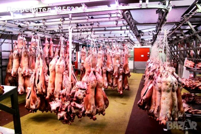 Работа във Великобритания , снимка 2 - Работа в Англия - 51429816