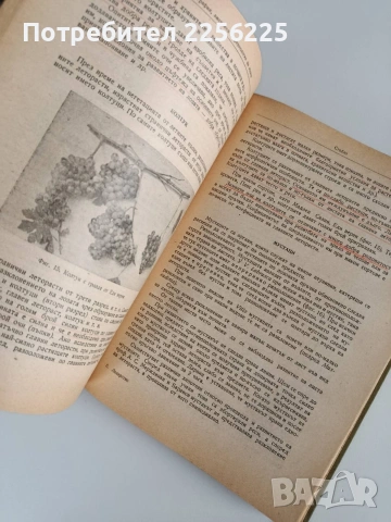 ЛОТ Лозарство, снимка 5 - Специализирана литература - 53456687