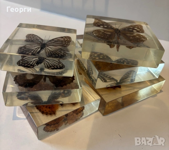 Пеперуди, снимка 9 - Колекции - 53656258