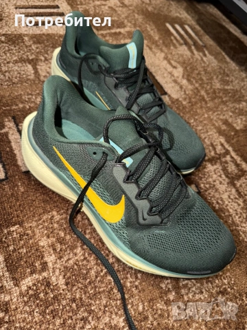 Маратонки Nike Pegasus 41
