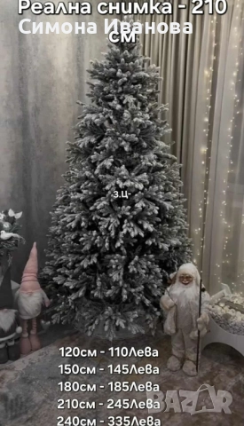 ЗАСНЕЖЕНА ЕЛХА 