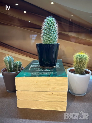 Керстин Гир - Поредица  “Скъпоценни камъни “, снимка 4 - Художествена литература - 53624992