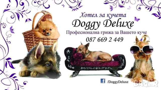 Хотел за кучета Пловдив , снимка 10 - Ветеринари и услуги - 44943030