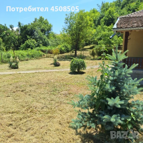 Поддръжка на вашия имот/Вила и парцел , снимка 17 - Други - 50729474