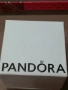 Висулка Pandora Плувай смело, снимка 5
