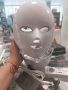 Козметична лед маска за лице и шия , снимка 1 - Козметика за лице - 45650254