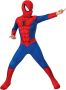 Rubie's Spider-Man, Детски карнавален костюм за момчета Spider-Man, син/червен, M