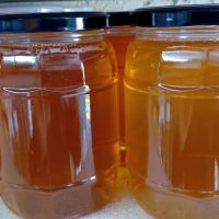 крем мед, снимка 6 - Пчелни продукти - 45834983