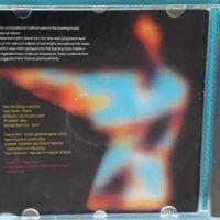 Daevid Allen(Gong) – 1997 - Divided Alien Clockwork Band(Abstract,Experimental,Minimal), снимка 2 - CD дискове - 45096764