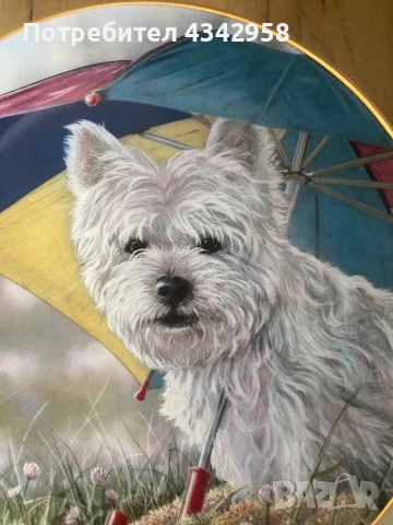 Колекционерска чиния от серия  « Westies», снимка 2 - Антикварни и старинни предмети - 50803043