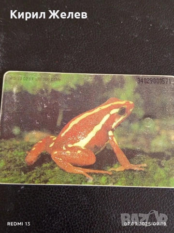 Три фонокарти серия ЖИВОТНИ,НАЦИОНАЛНИ ПАМЕТНИЦИ редки за КОЛЕКЦИЯ ДЕКОРАЦИЯ 50911, снимка 10 - Колекции - 51630390