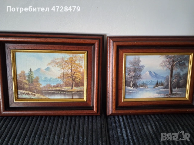 Картини маслени с красиви рамки и подпис на художника.