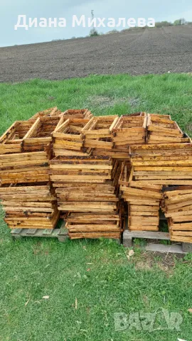 Пчелни рамки, снимка 2 - За пчели - 49694816
